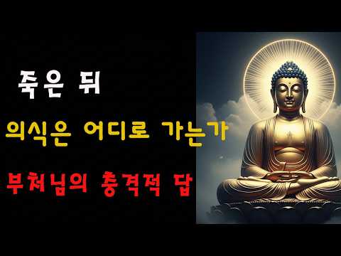 부처님이 사리불에게 밝히셨다: 사람이 죽은 뒤 마음은 어디로 가는가? 이것이 바로 삶의 진정한 목적지다