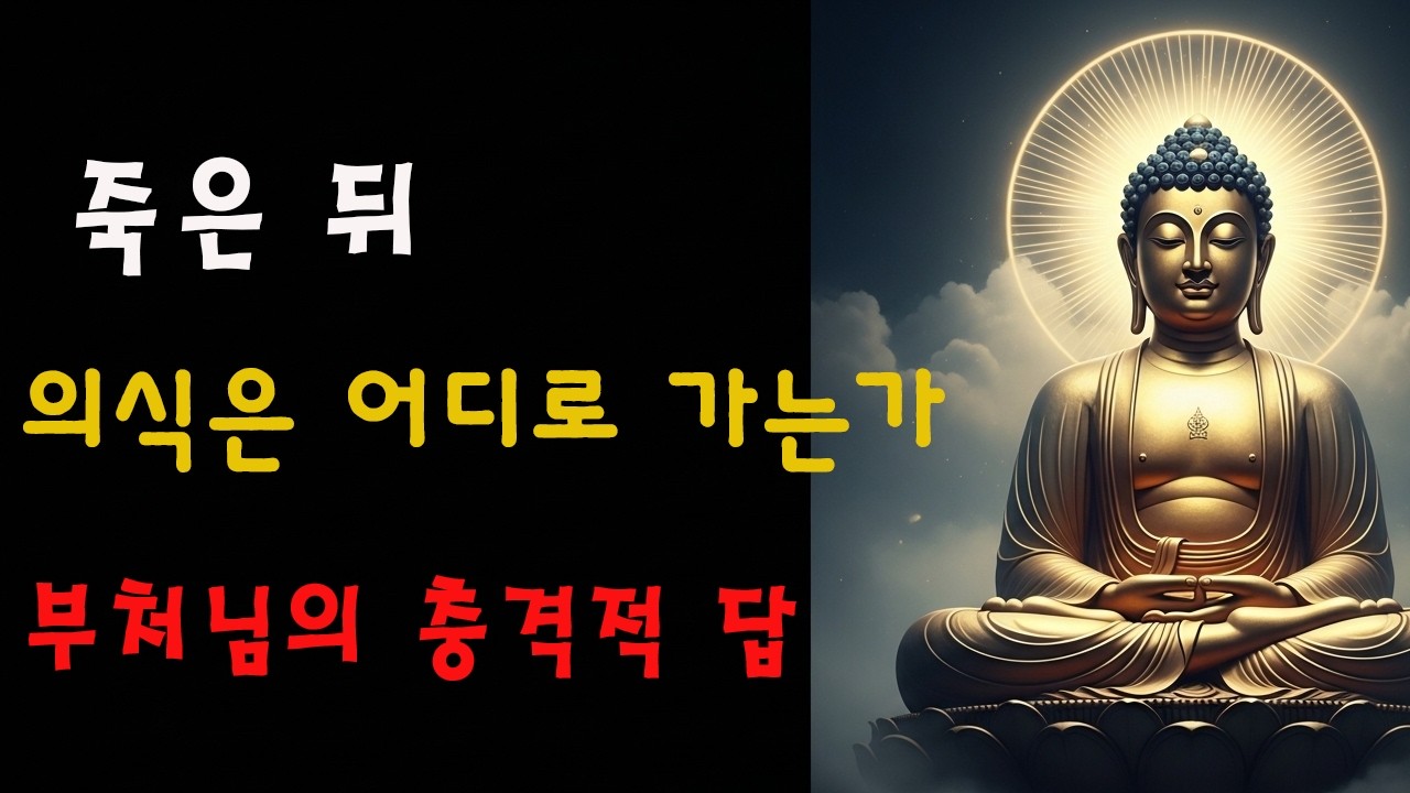 부처님이 사리불에게 밝히셨다: 사람이 죽은 뒤 마음은 어디로 가는가? 이것이 바로 삶의 진정한 목적지다