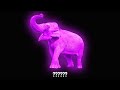 20 Elephant Trumpet Sound Variations In 30 Seconds MODIFY EVERYTHING