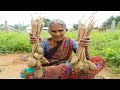 PALM SPROUT PALMYRA TUBER SWEET Prepared By GRANDMA Village Food Country Food Cooking