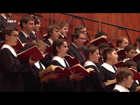 Gänsehaut beim Hohen C - Unterwegs mit den Stuttgarter Hymnus Chorknaben