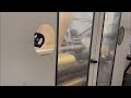 Riproduci video