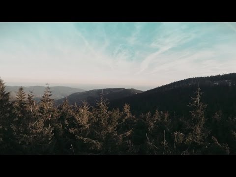 BLACK LILYS - Dust of You - Clip Officiel