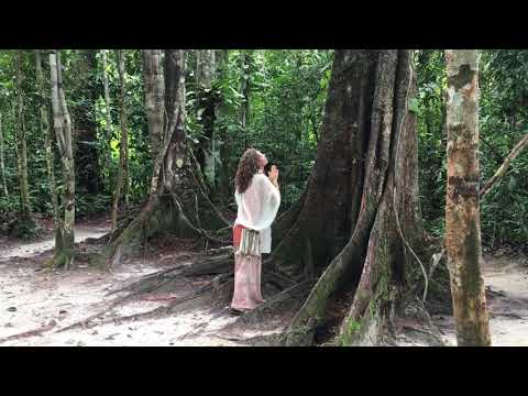 Icaro de Amor - sung by Yama