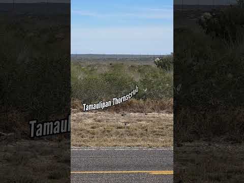 Land Clearance: A Global Threat to Quality of Life