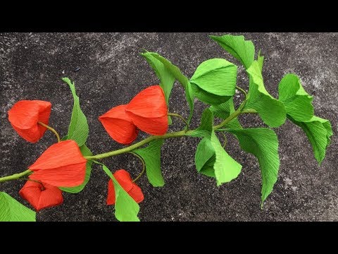 ABC TV | How To Make Physalis Alkekengi Flower From Crepe Paper - Craft Tutorial