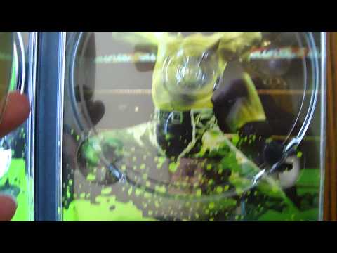 WWE: DX One Last Stand - Package Contents