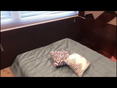 Fairline Targa 43 / 45 Open gebraucht und neu bei Gründl