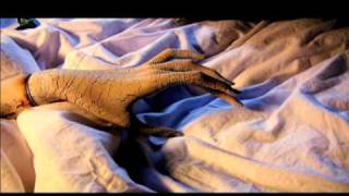 Sleepytime gorilla museum- Flinch.