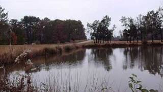 Beck - Side of the Road