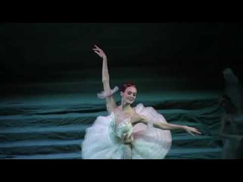 コーダ「ライモンダ」ロパートキナ＆コルスンツェフ、マリインスキー劇場  "Raymonda" U.Lopatkina & D.Korsuntsev Mariinsky Ballet 20