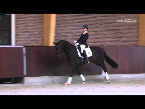 For Fun EDS COLLECTION 2016