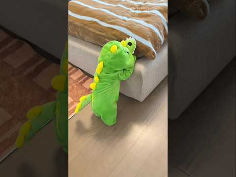 She Dressed Her Baby and Dog Alike… Then Spent Hours Trying to Find Her Baby