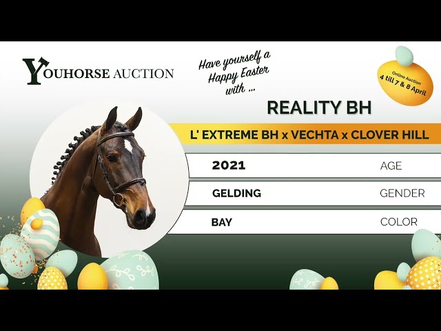 Reality showvideo