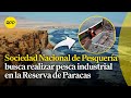 La SNP solicita efectuar pesca industrial dentro de la Reserva Nacional de Paracas