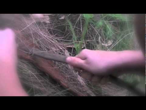 Short film - Institutionalised