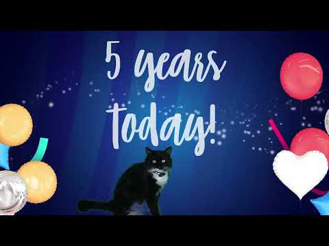 🎂5️⃣🐈‍⬛Happy Birthday, Mr. Darcy - tuxedo cat - 5 years today!