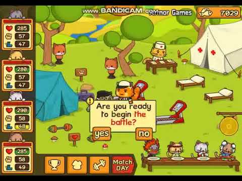 şampiyon/özel kuvvet kedileri ligi