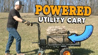SuperHandy Electric Wheelbarrow 48V Review: Ultimate Power Wagon Tested!