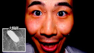 【種類別】生まれ変わった生き物の反応の違い。