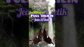 Download lagu MASTERAN TEMBAKAN CILILIN FULL//JEDA 20 DETIK TANPA IKLAN mp3