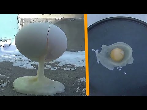 Freezing Eggs in Minnesota when it's cold-29 degrees