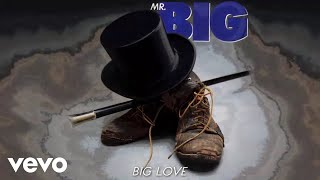 Mr. Big - Big Love (audio)