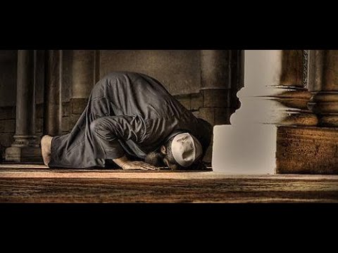 A mund të falet namazi natës dhe i vitrit menjëherë pas namazit të jacisë? - Dr. Imam Ahmed Kalaja