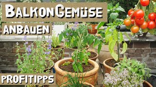 Gemüse und Kräuter auf dem Balkon anbauen, Tipps vom Gemüse-Gärtner - Balkongemüse, urban gardening