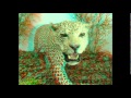 Rainbow Arabia - Without You (Nguzunguzu Remix ...