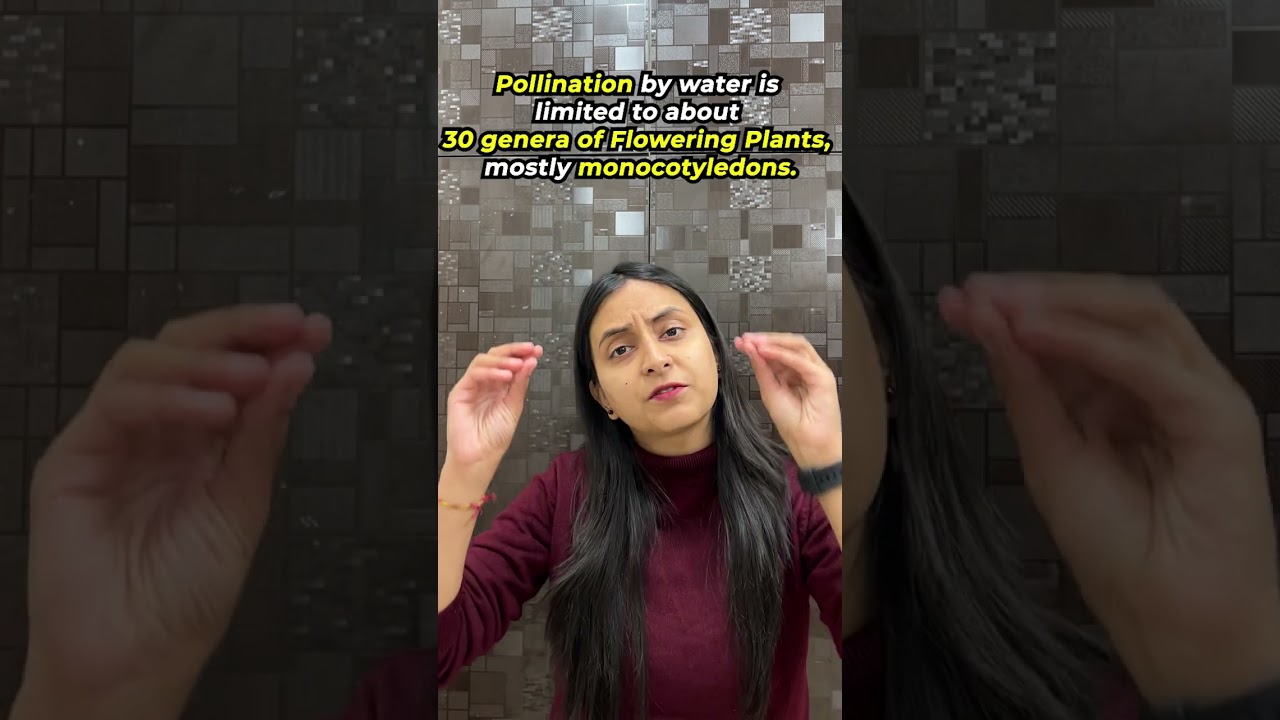 Agents of Pollination | Sexual Reproduction in Flowering Plants #neet #shorts #biology