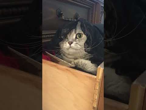 How to Make the Ultimate Meatloaf! | Easy Recipe & Tips