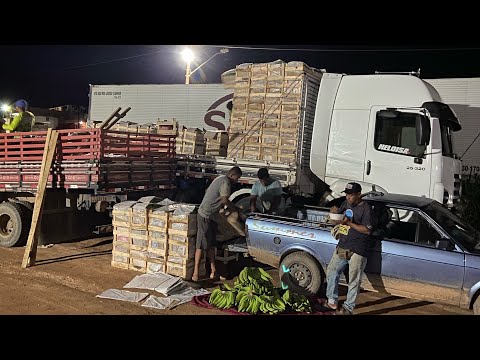 CARREGANDO BANANA NA BAHIA, DEU UM CARGÃO 😍