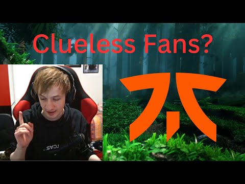 Nemesis On Fnatic Situation