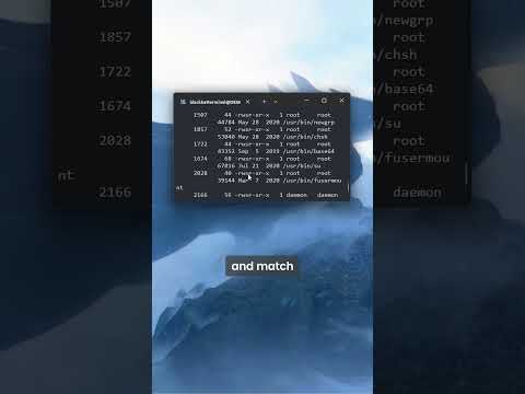 SUID privilege escalation #cybersecurity #linux #cyber #hacker #tech #computerscience #pentesting