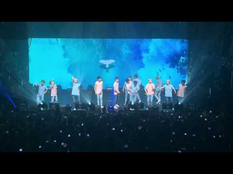 [fancam] 170827 seventeen diamond edge nyc @ terminal 5 - shining diamond and healing