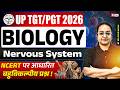 UP TGT PGT Biology Classes 2026 UP TGT PGT Biology Nervous System तंत्रिका तंत