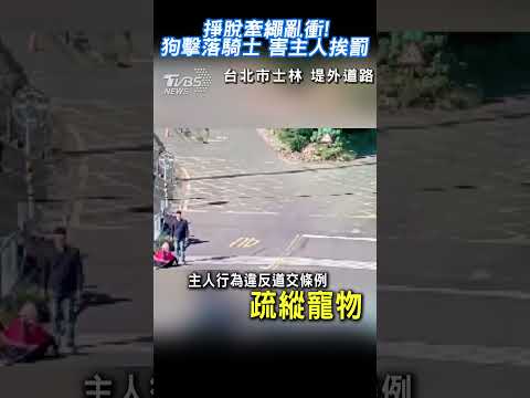 掙脫牽繩亂衝!狗擊落騎士 害主人挨罰 #shorts｜TVBS新聞 @TVBSNEWS01