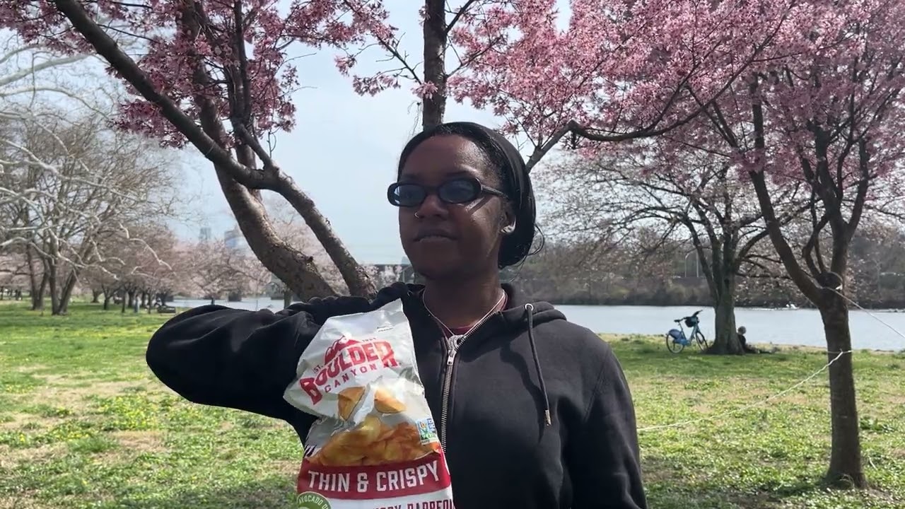 My Review of the Boulder Canyon Thin Crispy Hickory BBQ Chips