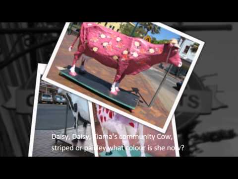 Daisy the Decorated Dairy Cow