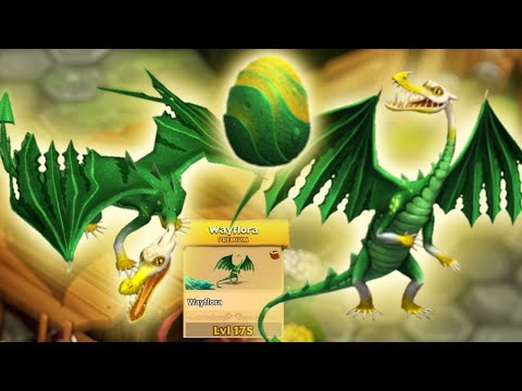 WAYFLORA - Max Level 175 — New Premium Windwalker Showcase | Dragons: Rise of Berk