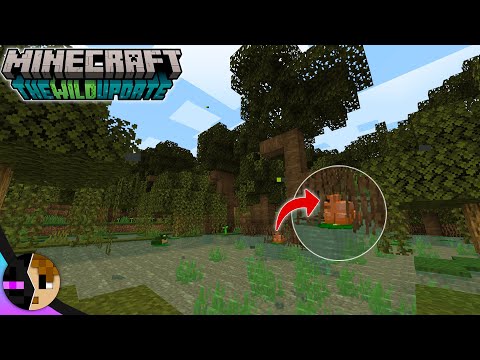Questa MOD aggiunge le MANGROVIE in MINECRAFT 1.19 🌳 *uguali*