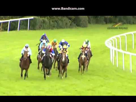 Preis der Dachdeckerinnung Hannover