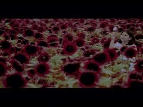 [MV] OLIVIA - Color of your Spoon