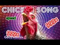 J.Geco - Chicken Song Part 4 ( 999× )