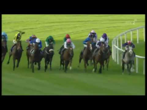 Qipco Irish Champion Stakes 2016 - Almanzor