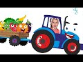 Blue Tractor Picking Fruits And Vegetables With Varya Lera And A Blue Tractor
