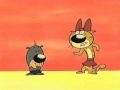 FOE PAWS