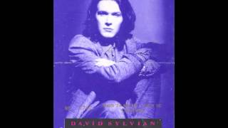 David Sylvian - LIVE IN THEATRE - 1988 ( FULL CONCERT )