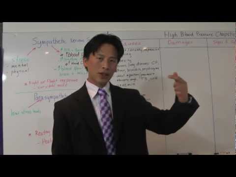 Chinesischer Tee Hypertonie M mit portale Hypertension